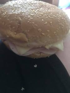 38935445_10211613398522514_4982013736664432640_n