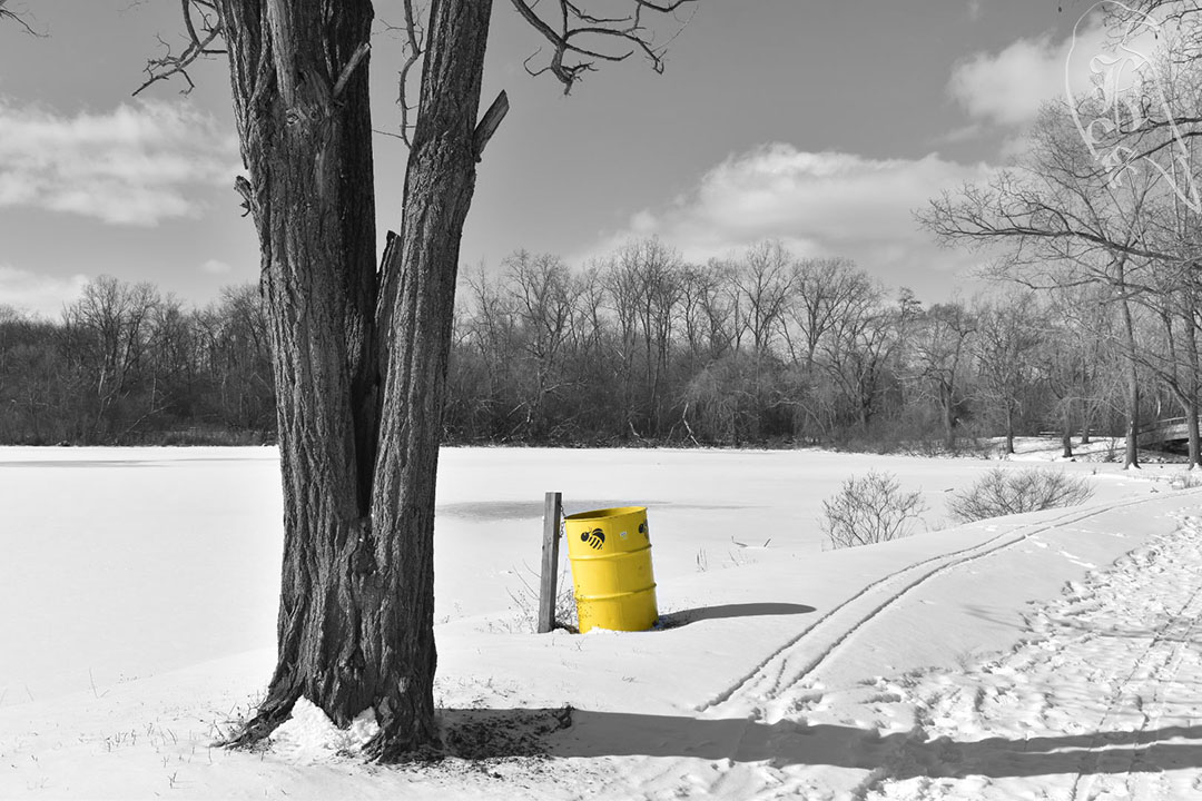 NOT Maple River&nbsp;Trail