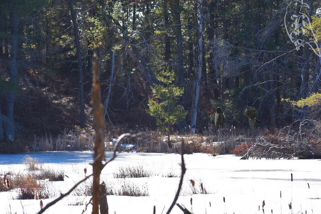 Au Sable River Foot Trail AND Wakeley&nbsp;Lake