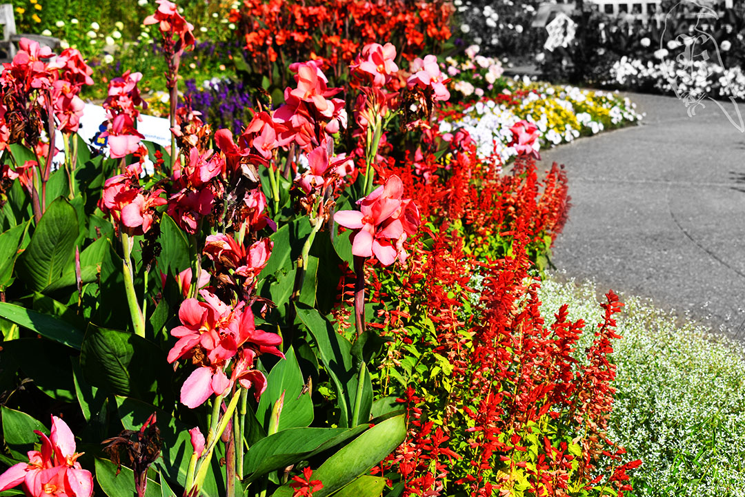 Matthaei Botanical Gardens&nbsp;Trails￼