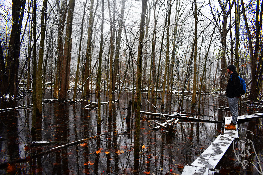 Woods Creek Rustic&nbsp;Trail