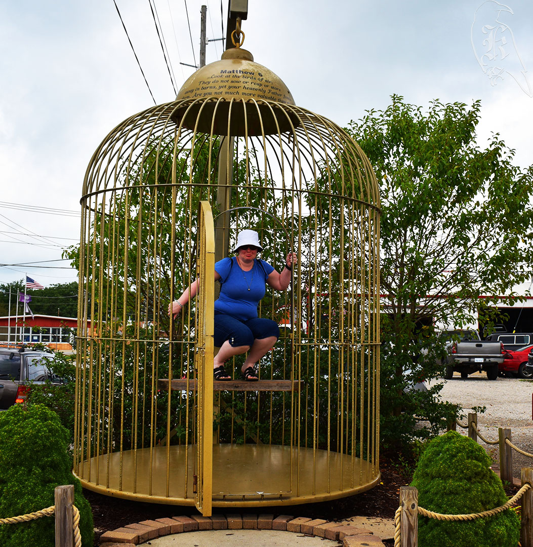 Nowhere for St. Louis and&nbsp;Casey￼